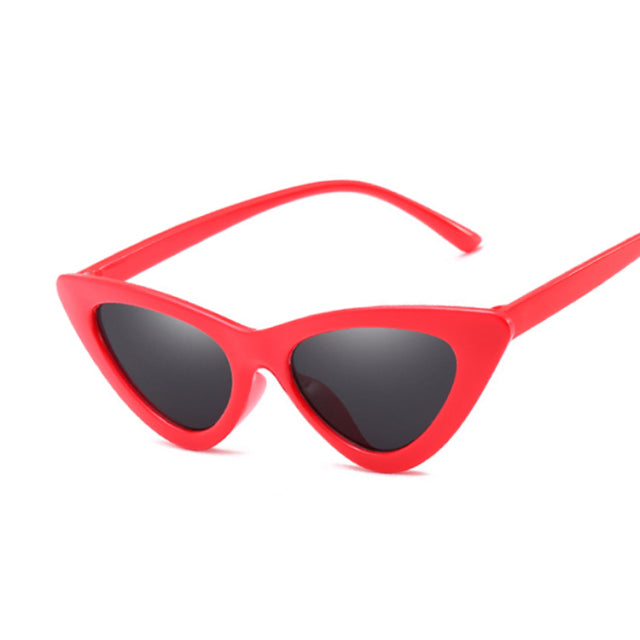 Ladies Luxury Plastic Sunglasses