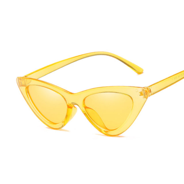 Ladies Luxury Plastic Sunglasses